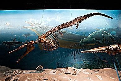 索尼云游戏测试：允许部分高级会员PC云玩PS5作品