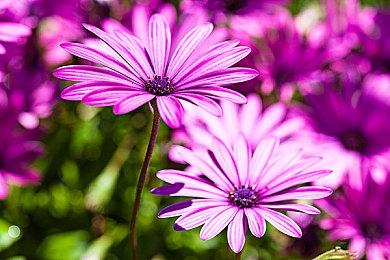 P社称《吸血鬼：避世血族2》进展良好 但不会在今年嘉年华上展出